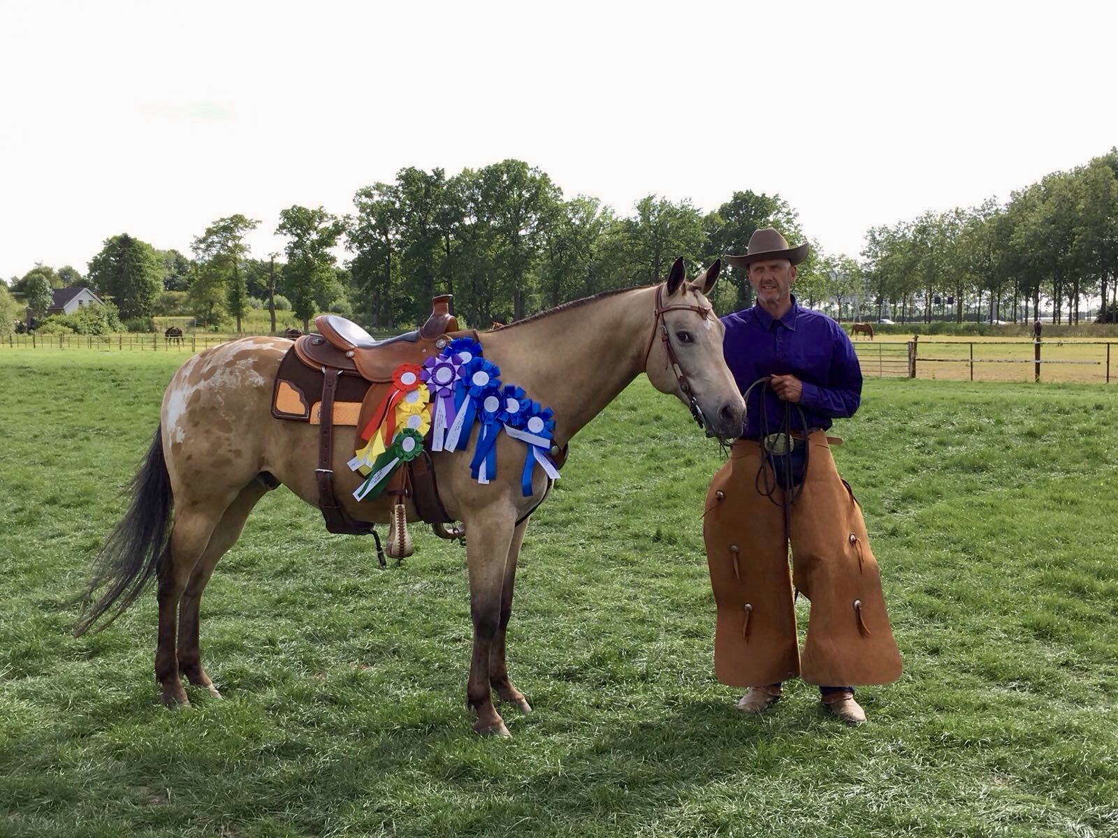 Rijnstone Ranch - HOME